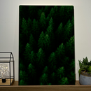 Quadro Decorativo Natureza Verde Infinito