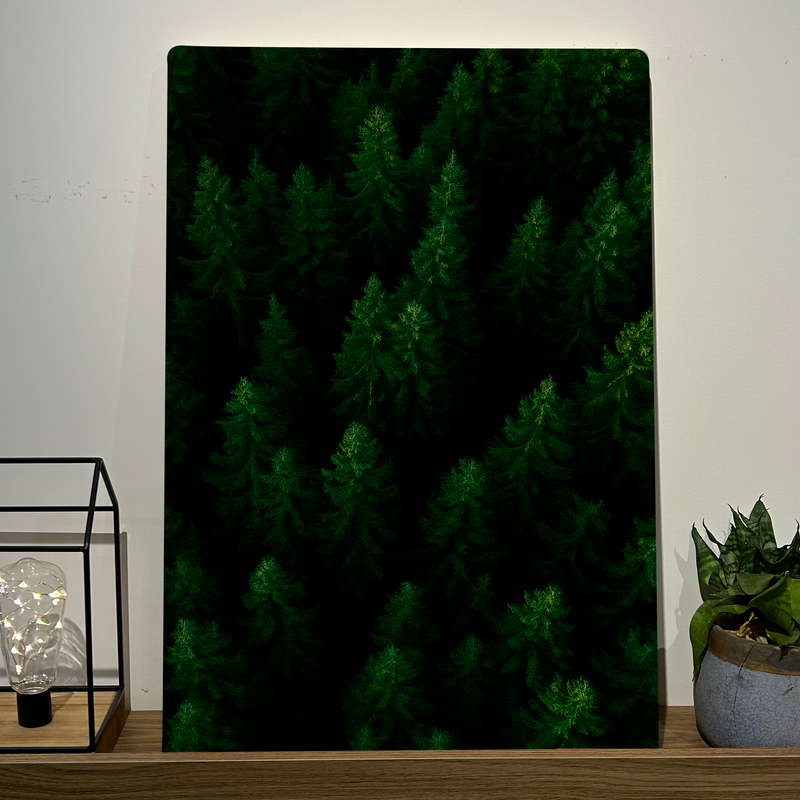 Quadro Decorativo Natureza Verde Infinito