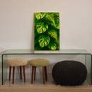 Quadro Decorativo Natureza Essência Botânica