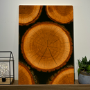 Quadro Decorativo Natureza Troncos Naturais