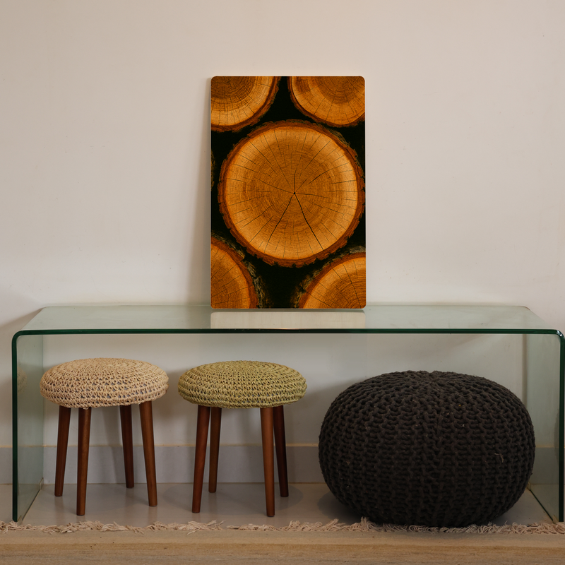 Quadro Decorativo Natureza Troncos Naturais